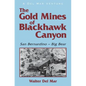 The Gold Mines of Blackhawk Canyon: San Bernardino - Big Bear - Paperback