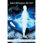 Hazing Aging: How Capillary Endothelia Control Inflammation and Aging - Paperback