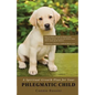 A Spiritual Growth Plan for Your Phlegmatic Child - Paperback