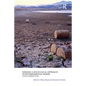 Forging a Socio-Legal Approach to Environmental Harms Global Perspectives - Paperback