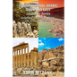 Conversational Arabic Quick and Easy Boxset: Lebanese Arabic Dialect, Palestinian Arabic Dialect, Syrian Arabic Dialect, Jordanian Arabic Dialect - Paperback