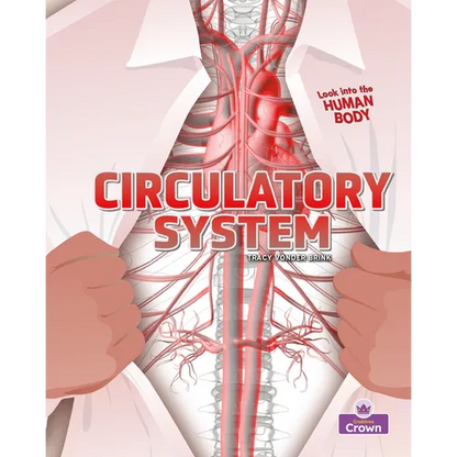 Circulatory System - Paperback