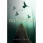 The Protector: Book 1 - Paperback
