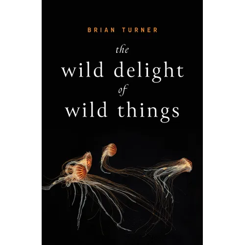 The Wild Delight of Wild Things - Paperback