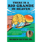 There Is a Rio Grande in Heaven: Stories - Paperback