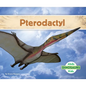 Pterodactyl - Library Binding