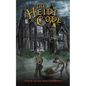 The Heidi Code - Paperback