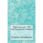 On the Flesh of Christ - Paperback