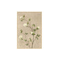 Japanese Style Floral Framed Painting