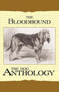 The Bloodhound - A Dog Anthology (A Vintage Dog Books Breed Classic) - Paperback
