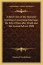 A Brief View of the Heavenly Doctrines Concerning Marriage, the Life of Man After Death and the Second Advent 1828 - Paperback
