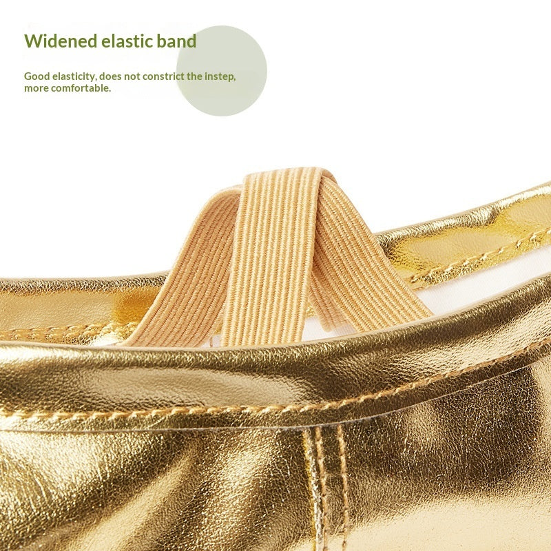 Soft-soled Practice PU Leather Cat-claw Gold And Silver Dance Shoes