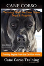 Cane Corso Training Book for Cane Corso Dogs & Puppies By D!G THIS DOG Training, Training Begins from the Car Ride Home, Cane Corso Training - Paperback