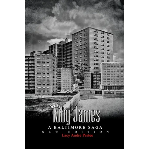 King James: A Baltimore Saga - Paperback