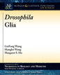 Drosophila Glia - Paperback