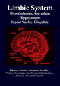 Limbic System: Amygdala, Hypothalamus, Septal Nuclei, Cingulate, Hippocampus: Emotion, Memory, Language, Development, Evolution, Love - Paperback