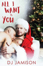 All I Want Is You: A gay holiday romance - Paperback