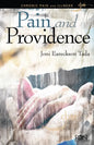 Pain and Providence - Paperback