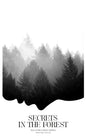 Secrets in the Forest - Paperback