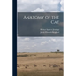 Anatomy of the Cat - Paperback