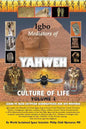 Igbo Mediators of Yahweh Culture of Life: Volume 1: Learn to Read Egyptian Hieroglyphs and UFO Writings - Paperback