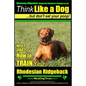 Rhodesian Ridgeback, Rhodesian Ridgeback Training AAA AKC: Think Like a Dog, but Don't Eat Your Poop! Rhodesian Ridgeback Breed Expert Training: Here' - Paperback