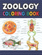 Zoology Coloring Book: Collection of Simple Illustrations of Zoology. The New Surprising Magnificent Learning Structure For Veterinary Anatom - Paperback
