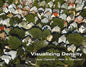Visualizing Density - Paperback