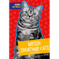 British Shorthair Cats - Library Binding
