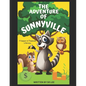 The Adventure of Sunnyville: A lesson in Financial Literacy - Paperback