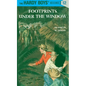 Hardy Boys 12: Footprints Under the Window - Hardcover
