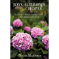 Joys, Sorrows, and Hopes: The Life of an African American Family in the Depression-Era South - Paperback