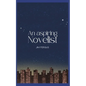 An Aspiring Novelist - Paperback