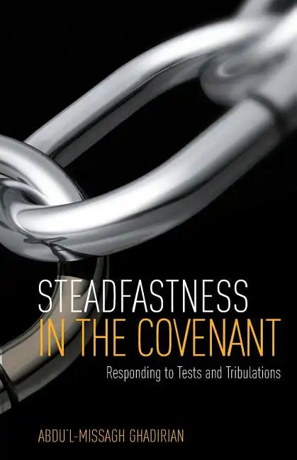 Steadfastness in the Covenant - Paperback