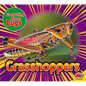 Grasshoppers - Paperback