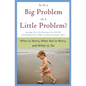 Is It a Big Problem or a Little Problem? - Paperback