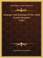 Anatomy and Histology of the Adult Female Mosquito (1901) - Hardcover
