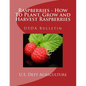 Raspberries - How To Plant, Grow and Harvest Raspberries: USDA Bulletin - Paperback