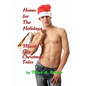 Homo For The Holidays: A Collection of Mostly Gay Christmas Tales - Paperback