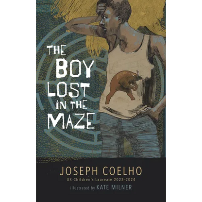 The Boy Lost in the Maze - Hardcover