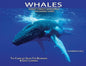 Whales: The Complete Guide For Beginners & Early Learning - Paperback