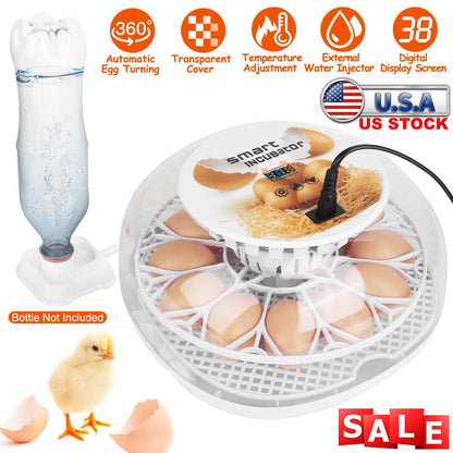 GBruno 12 Eggs Incubator for Hatching
