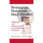 Perinatal and Postpartum Mood Disorders: Perspectives and Treatment Guide for the Health Care Practitioner - Hardcover