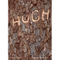 Hugh Hayden: American Vernacular - Paperback