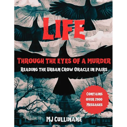 LIFE Through the Eyes of a Murder: Reading the Urban Crow Oracle in pairs - Paperback