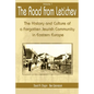 The Road from Letichev, Volume 1: The History and Culture of a Forgotten Jewish Community in Eastern Europe - Paperback