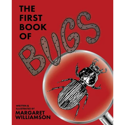 The First Book of Bugs - Paperback