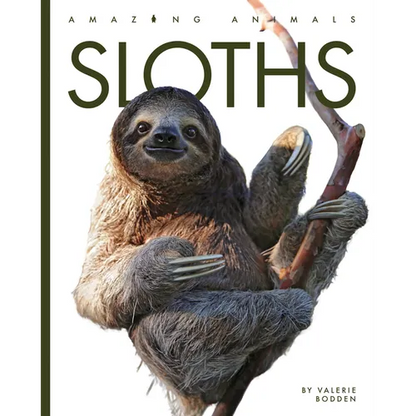 Sloths - Library Binding