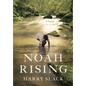 Noah Rising - Hardcover