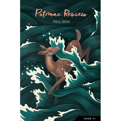 Potomac Review Issue 71 - Paperback